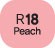 Touch Twin Marker Peach R18